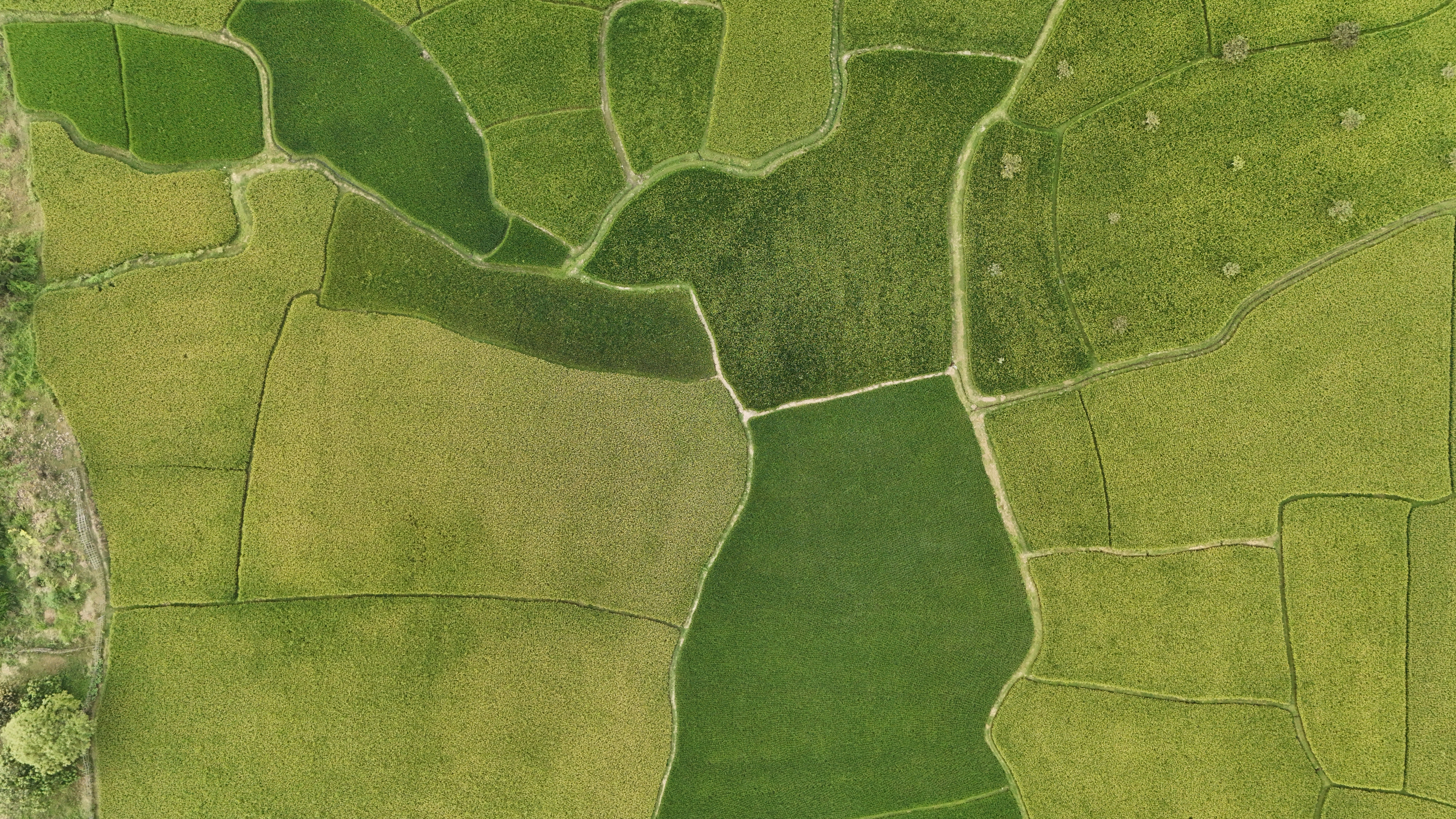 A birds eye view of a green farm