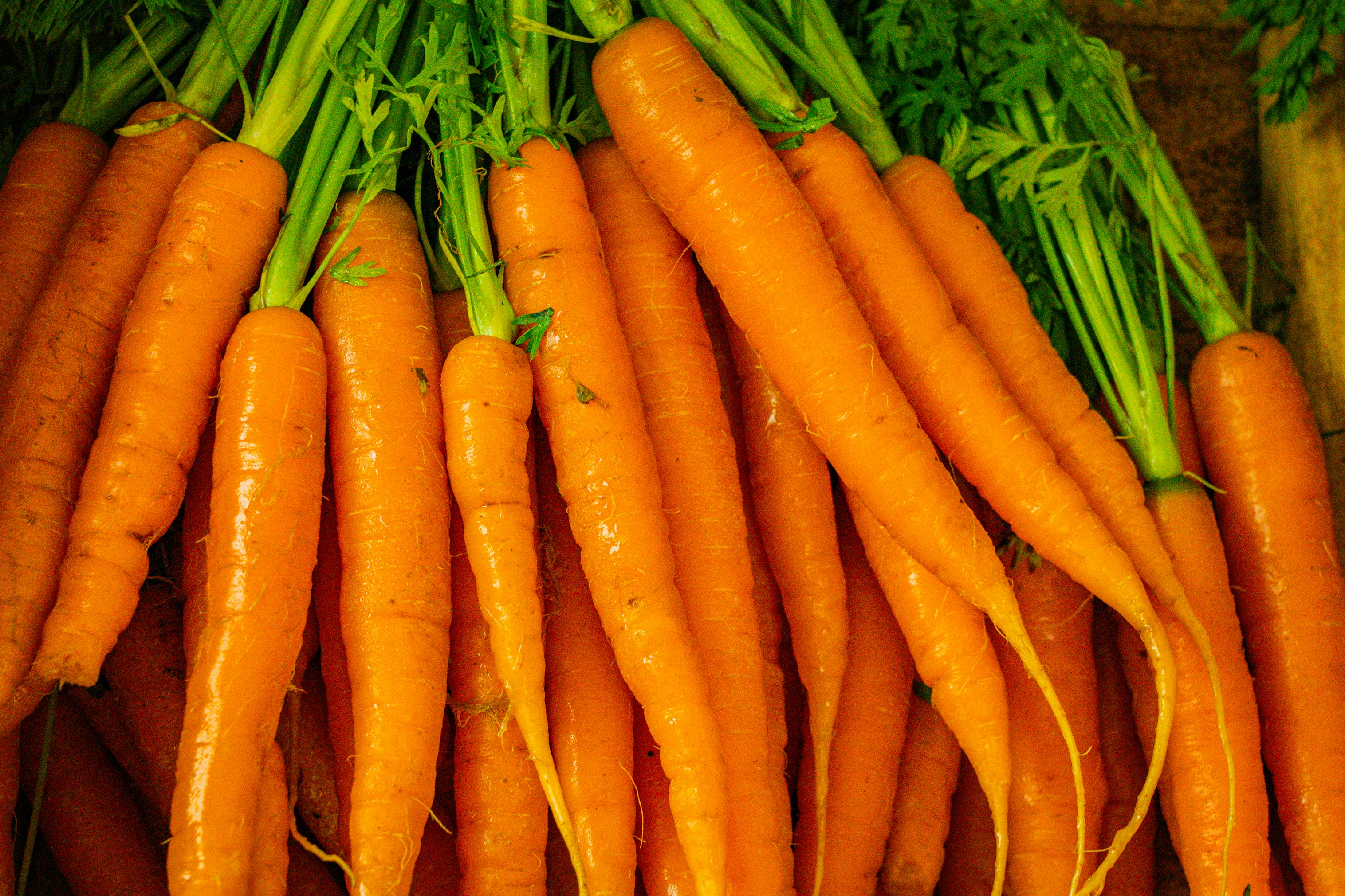A pile of bright orange carrots