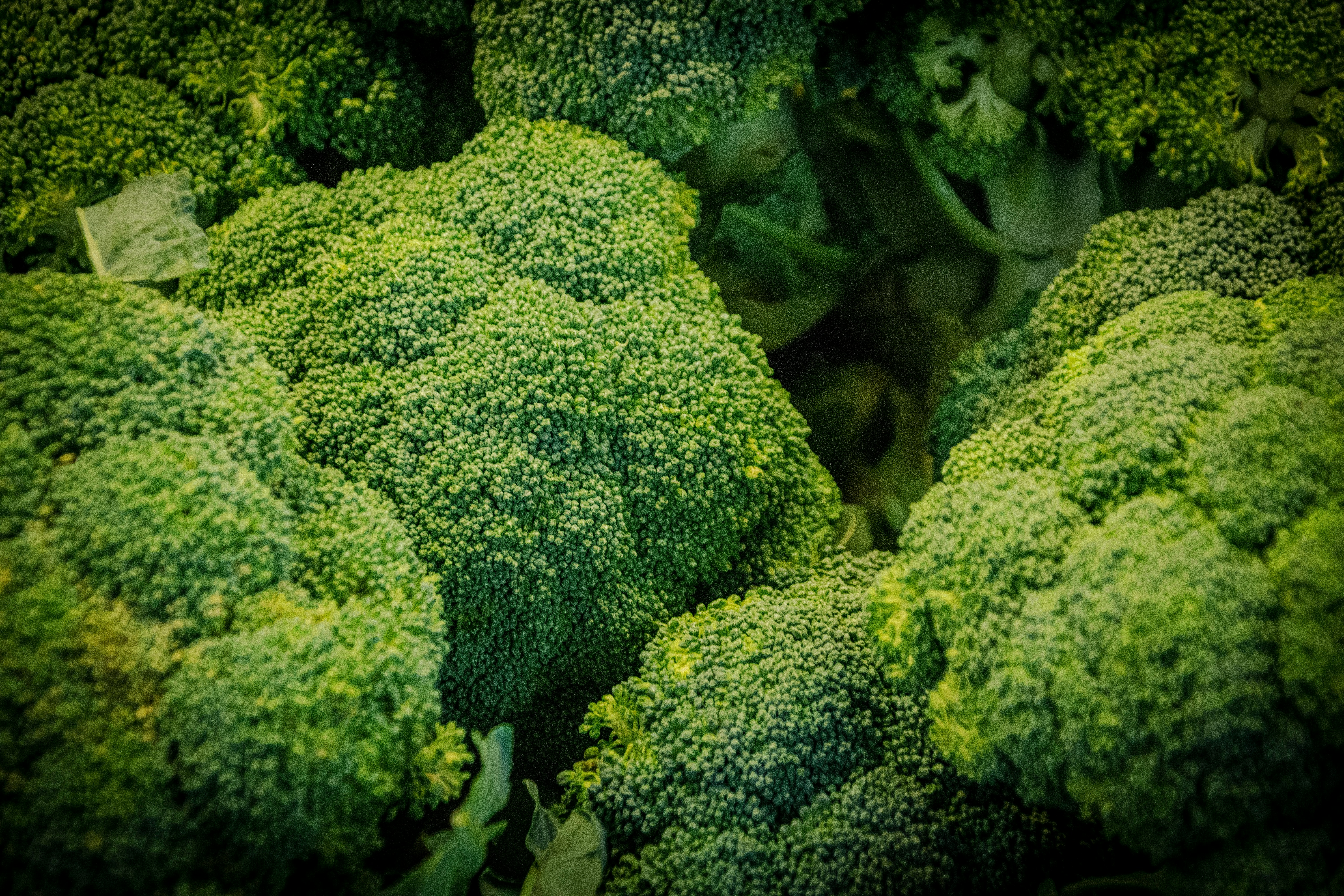 A pile of green broccoli